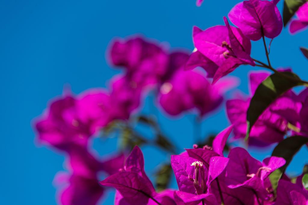Keri Village & Spa By Zante Plaza (Adults Only) Εξωτερικό φωτογραφία